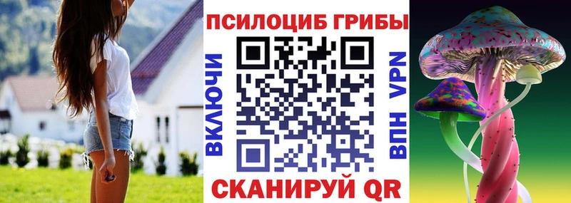 Галлюциногенные грибы мухоморы  даркнет сайт  Петушки 