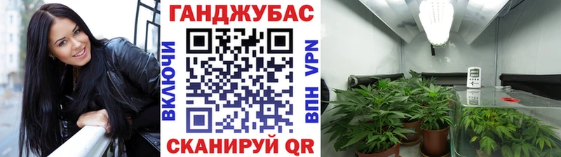 наркотики Петушки Марихуана марихуана